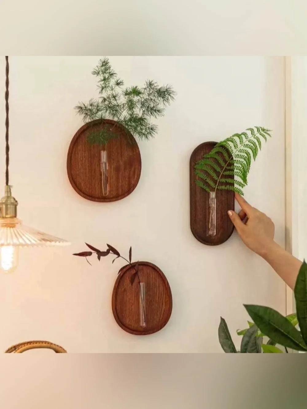 7-Piece Wooden Oval Wall Vase Set with Glass Tubes – Brown